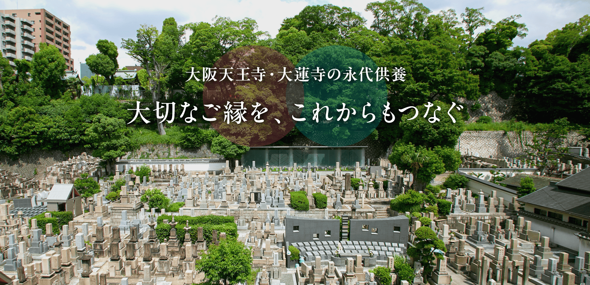 大阪天王寺・大蓮寺の永代供養 大切なご縁を、これからもつなぐ